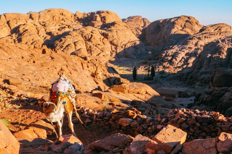 Sinai mountain and saint catherine